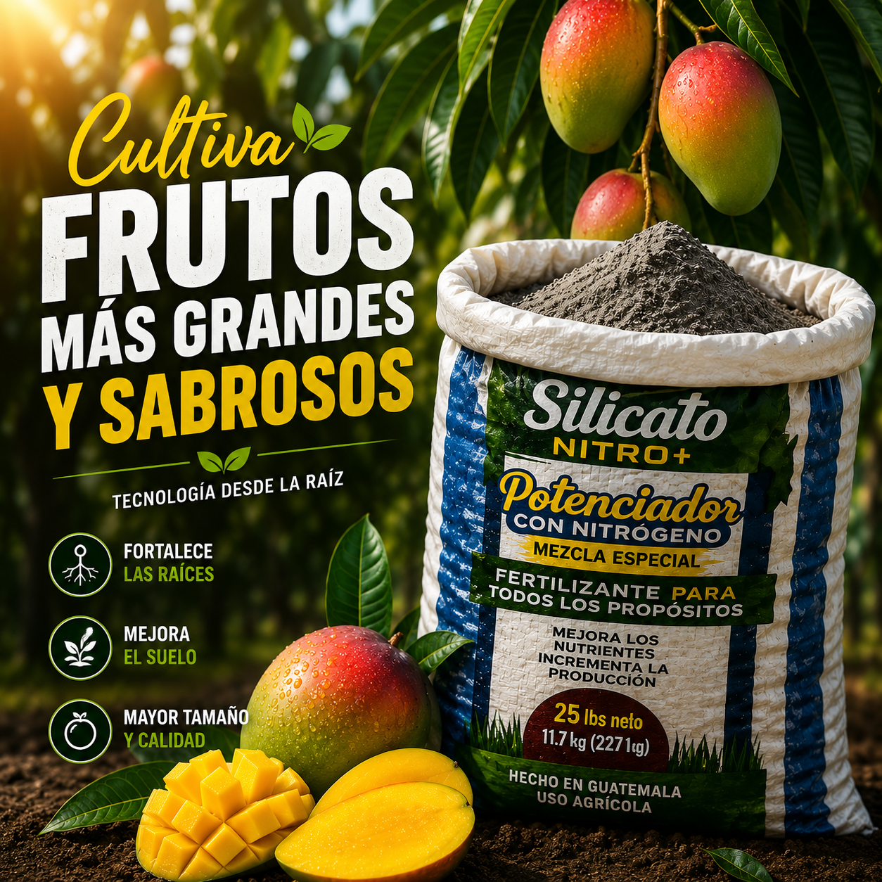 Silicato de Magnesio